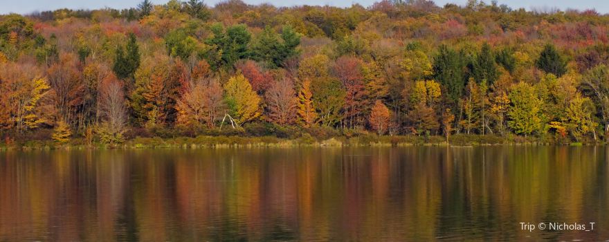 Promised Land State Park