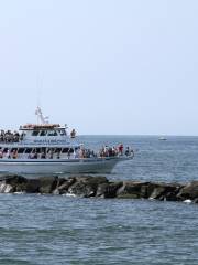 Cape May Whale Watch & Research Center