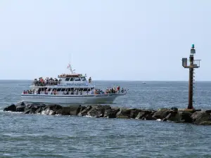 Cape May Whale Watch & Research Center