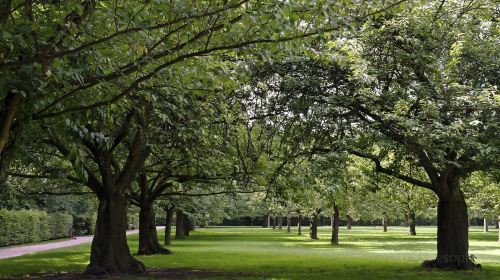 Parc De Sceaux