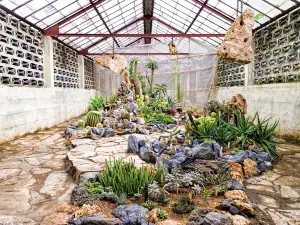 The Cienfuegos Botanical Gardens