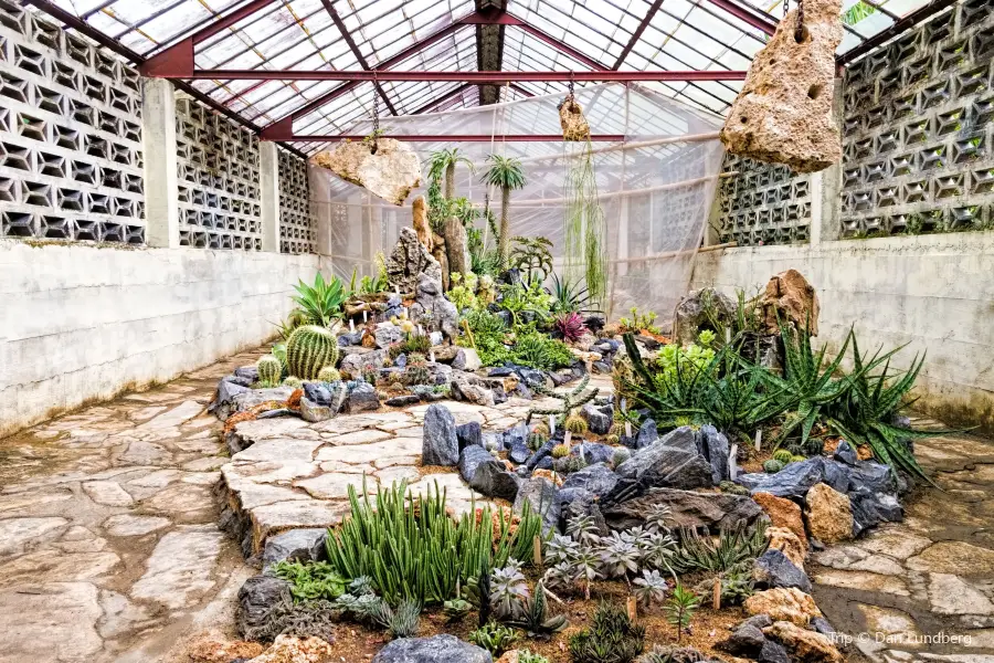 Botanical Garden of Cienfuegos