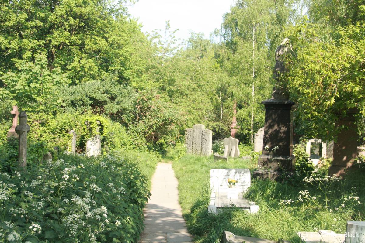 Abney Park