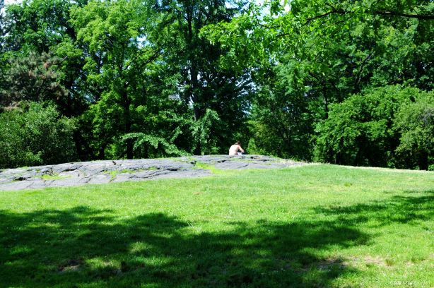 East Rock Park
