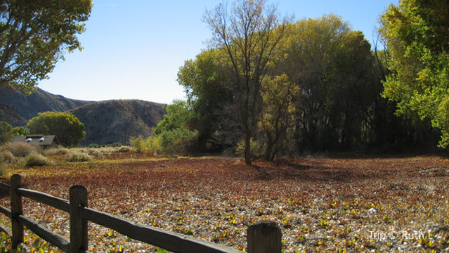 Big Morongo Canyon Preserve