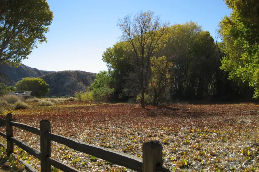 Big Morongo Canyon Preserve