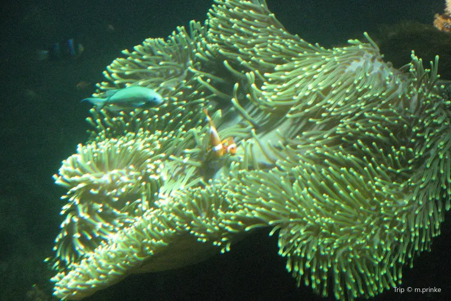 斯德哥爾摩水族館