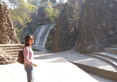 Rock Garden