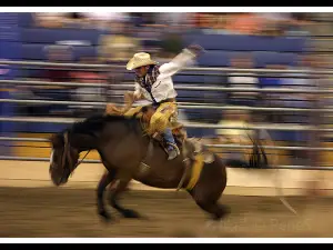 Lost Dutchman State Park