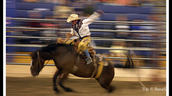 Lost Dutchman State Park