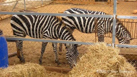 Ζωολογικός Κήπος Πάφου - Pafos Zoo