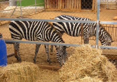 Pafos Zoo