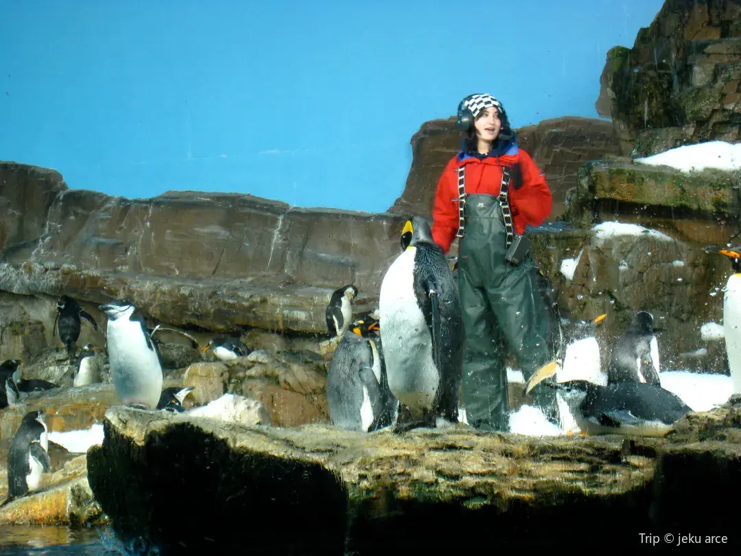 4_SeaWorld San Antonio
