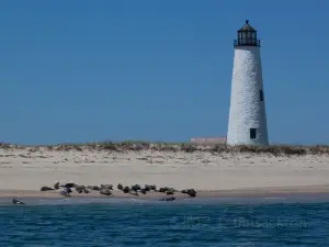 Коската-Котью Уайлдлайф Рефьюдж Гейтхаус