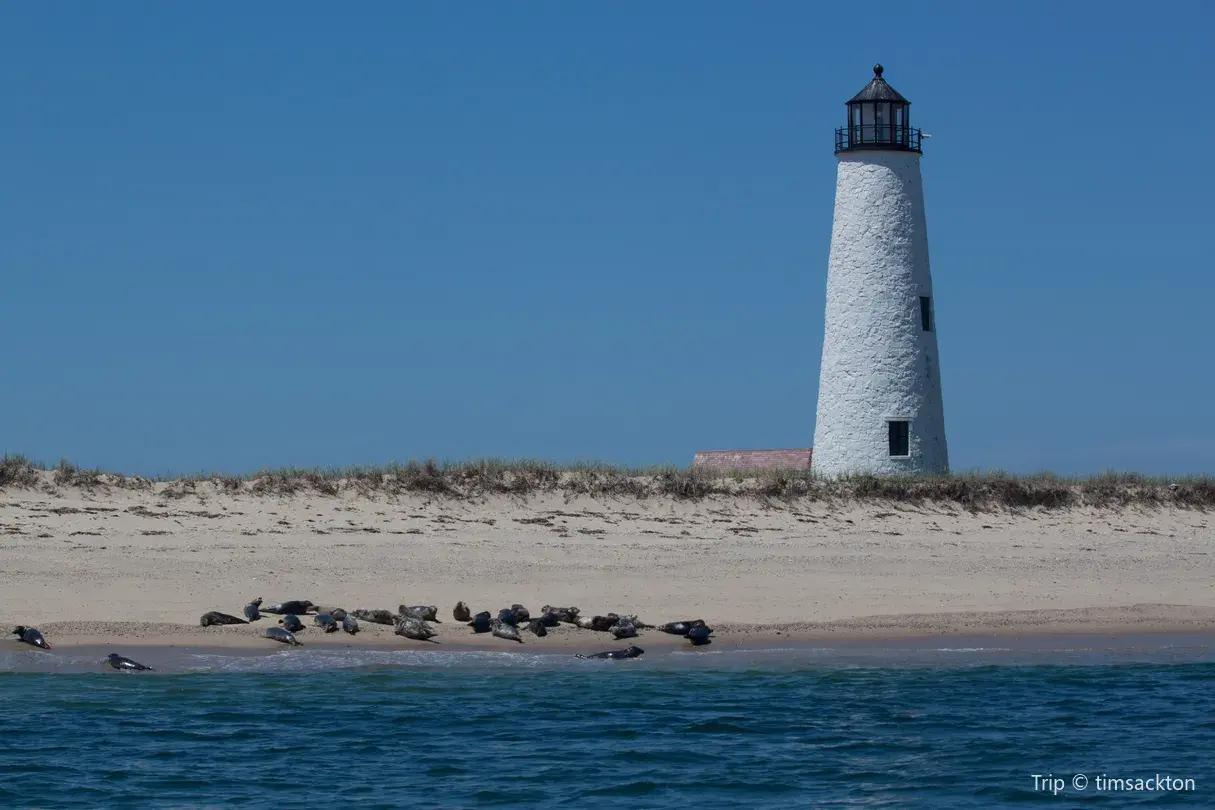 1_Коската-Котью Уайлдлайф Рефьюдж Гейтхаус