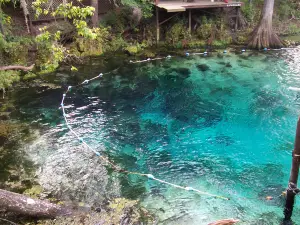 Fanning Springs State Park