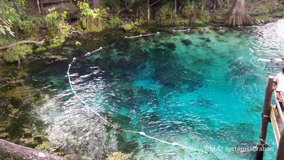 Fanning Springs State Park