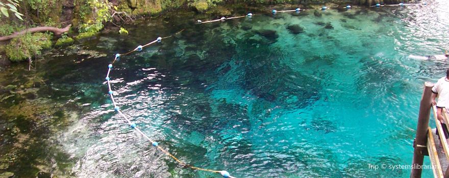Fanning Springs State Park