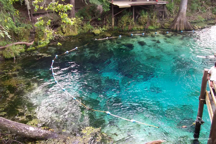 Fanning Springs State Park