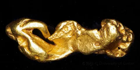 皇家康沃爾博物館