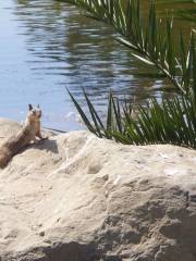 Refugio State Park and Beach