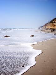 Moonlight State Beach