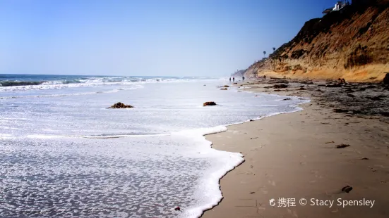 Moonlight State Beach