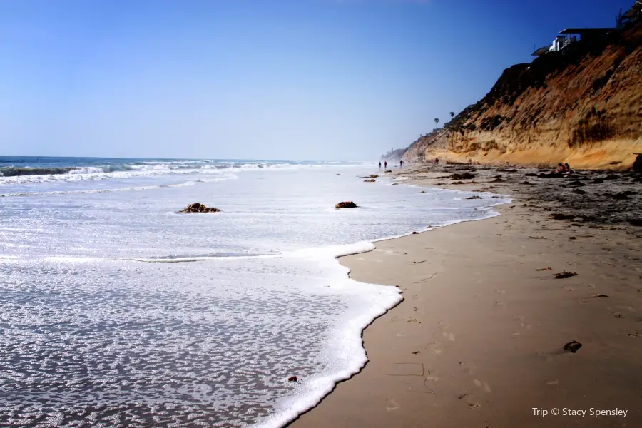 Moonlight State Beach