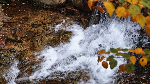 Jiulongtan Natural Scenic Area