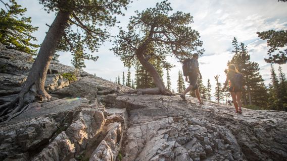 丹佛+洛磯山國家公園一日遊【來自落磯山脈的視覺震撼】