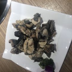 A MUSHROOM User Photo