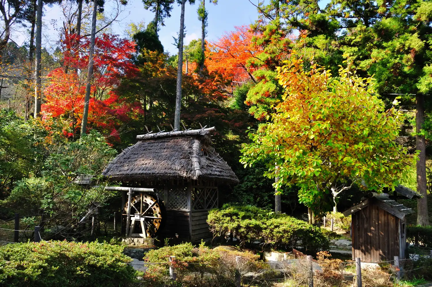 Hotels near Aburayama Citizen's Forest