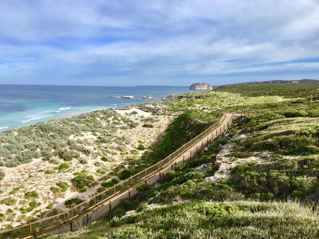 Seal Bay