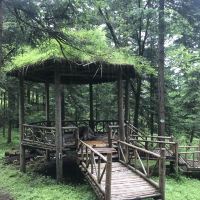 評論圖片 5