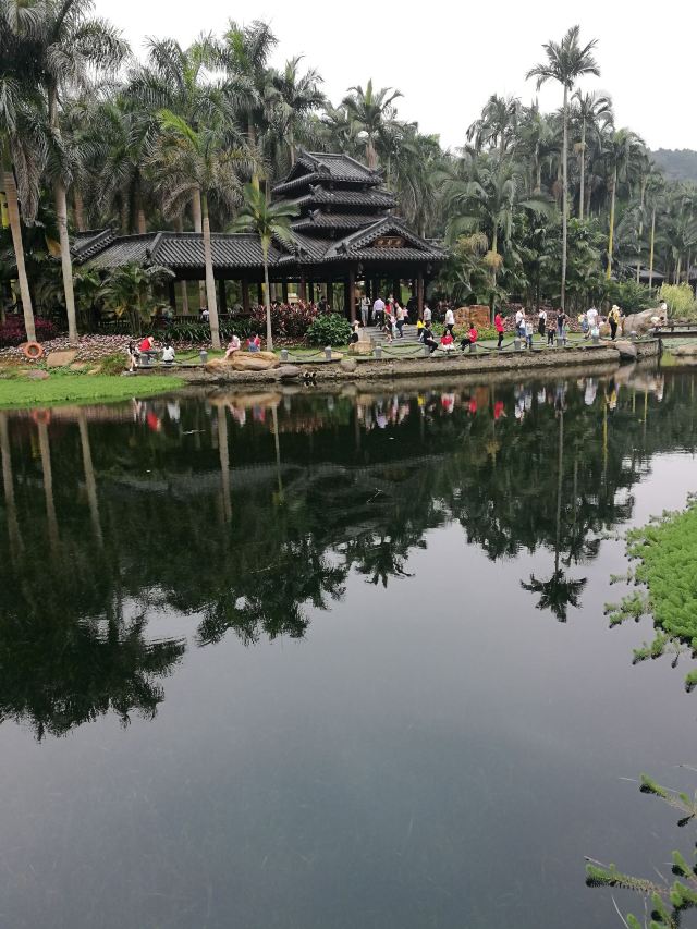 Palm Garden