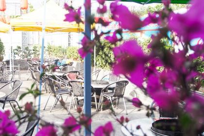 鉗子雞特色燒烤