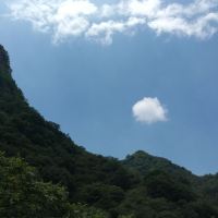 評論圖片 6