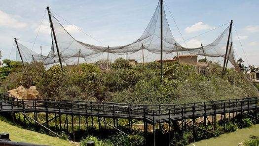 Montecasino Bird Sanctuary