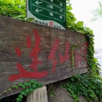 評論圖片 9