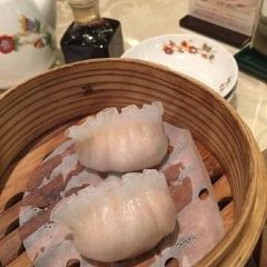 Saikoushinkan User Photo
