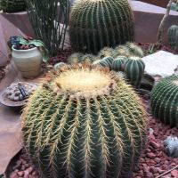 評論圖片 7