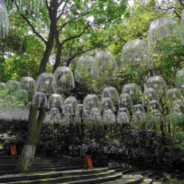 評論圖片 7
