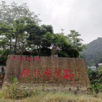 評論圖片 5