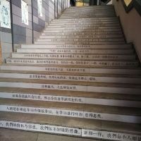 評論圖片 2
