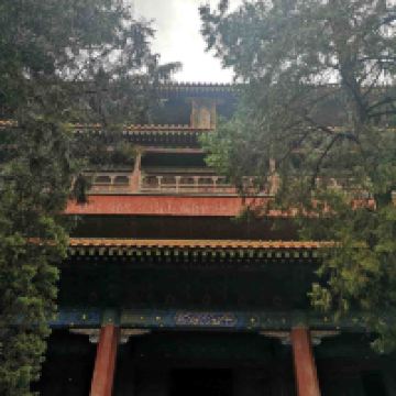 評論圖片 1