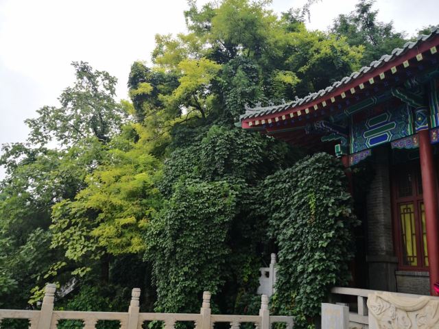 첸포산