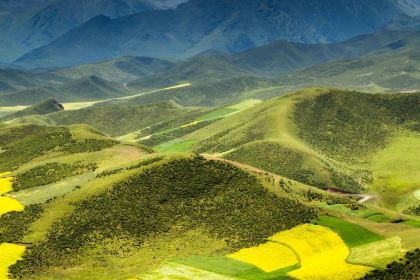 BI SHENG KE BAO DA DIAN