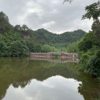 評論圖片 2