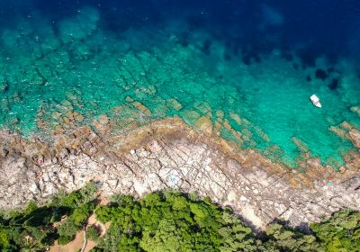 Otok Lokrum