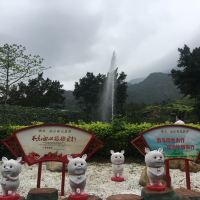 評論圖片 2
